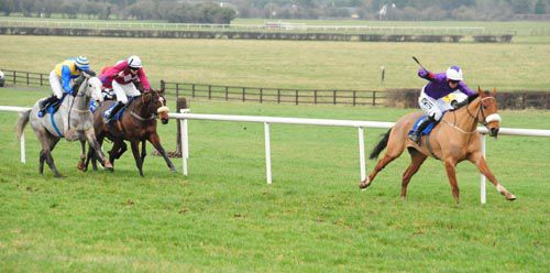 Grecian Tiger eventually held all challengers at Naas