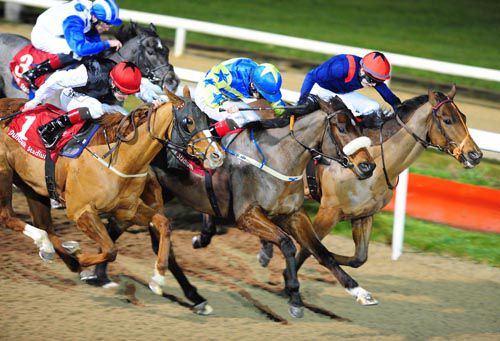 Core Element (centre) saw off all challengers at Dundalk
