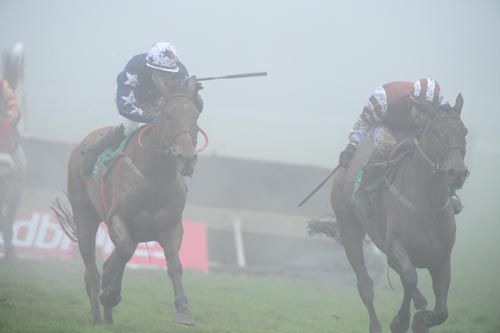 Rich Revival stays on well to beat Saoirse Dun and company at Navan