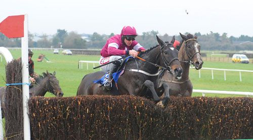 A quick jump at the last by Tofino Bay helped as he fought off Aupcharlie at Naas