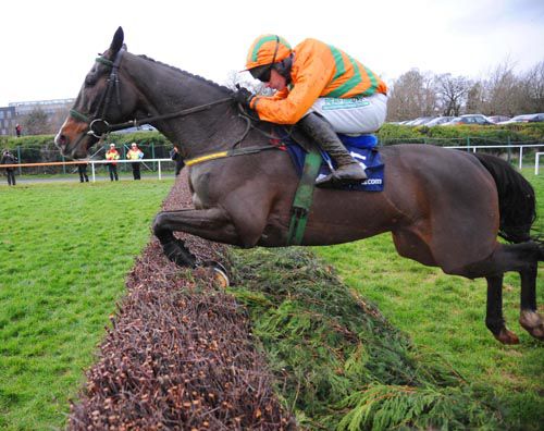 A neat jump from Texas Jack at Leopardstown