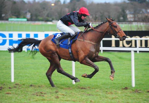 Le Vent D'Antan on his way to victory at Leopardstown on Sunday