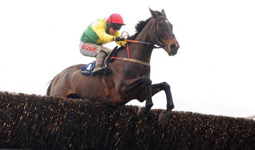 Sizing Europe (Andrew Lynch) clears the last to win the Tied Cottage Chase