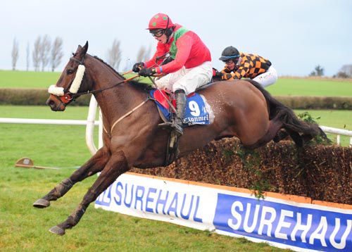 Ibetellingyoualie and Pat Collins jump the last 