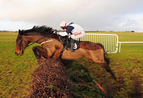 Jolily and Andrew Lynch on the way to victory at Thurles