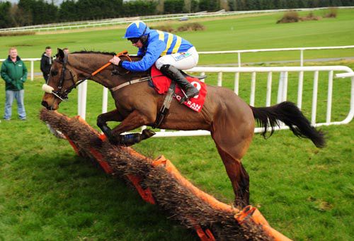 Vic Canvas jumps the last under Conor Maxwell
