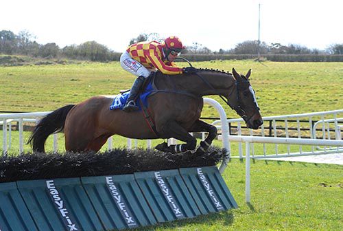 Pencilhimin wins nicely at Limerick
