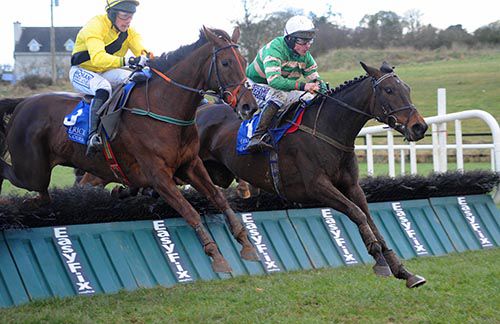 Byerley Babe jumps ahead from Casablanca Lily at Limerick