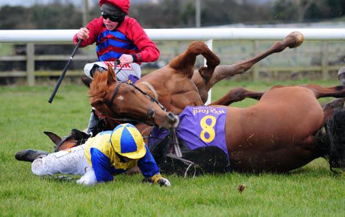 Carnage at the last at Wexford as Some Drama (No 8) falls and brings down Turica