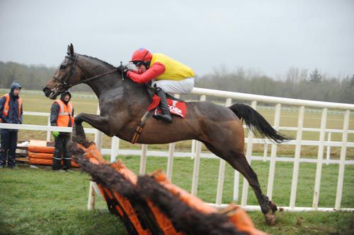Peace In The West and Mark Walsh on their way to victory at Cork