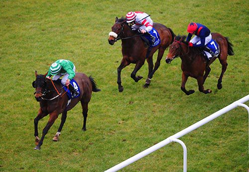 Srucahan has Joe Eile (white and red) and Fastidious beaten at the Curragh
