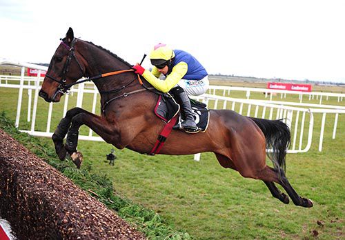 Realt Mor in front at Fairyhouse