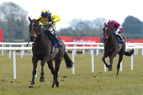 The Tullow Tank strides clear at Fairyhouse