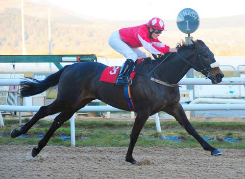 Reposer scored in style at Dundalk
