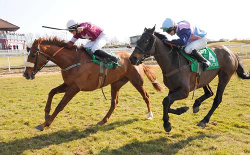 Sumkindasuprstar, right, wins a thrilling finish for the Webster Cup at Navan