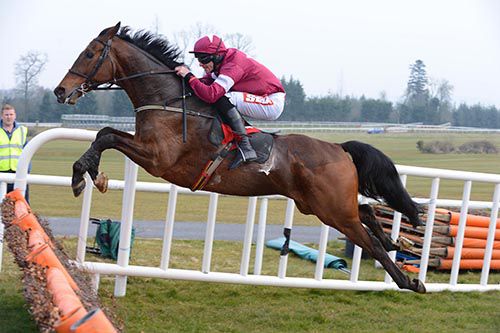 Midnight Oil and Davy Russell enjoyed themselves at Gowran