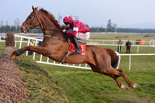 Toostrong shows all his scope at Gowran under Davy Russell