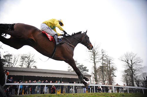 Dont Tell De Purty clears the last before going on to win at Gowran under Mark Enright