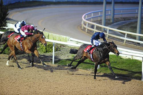 Count Of Limonade leaves Love And Cherish and Eusepio in his wake at Dundalk