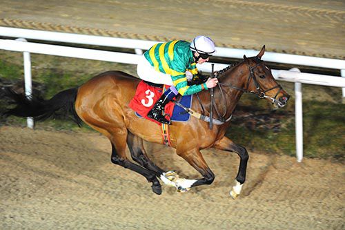 Whatever It Takes was a comfortable winner under Fran Berry at Dundalk