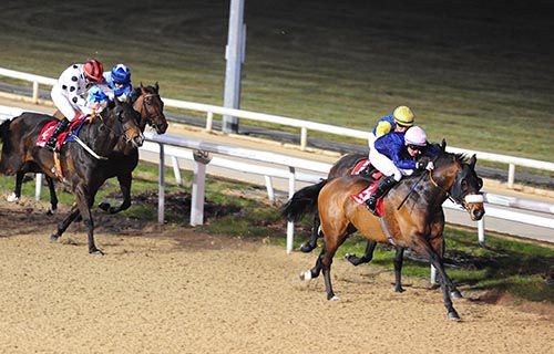 Indiana Charmer holds off Todd up her inner at Dundalk