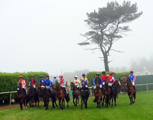 Runners gather at the start for the 2m5f handicap hurdle