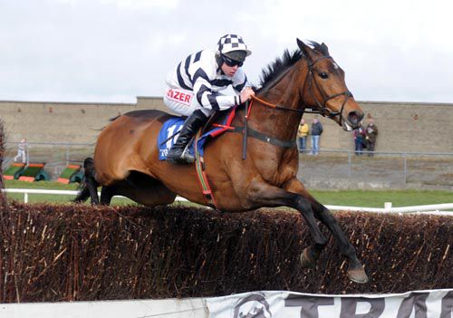 The Folkes Choice flies a fence at Tramore
