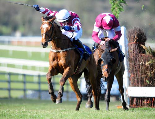 Sweet My Lord goes on from Crash who made a mistake at Tramore's final fence