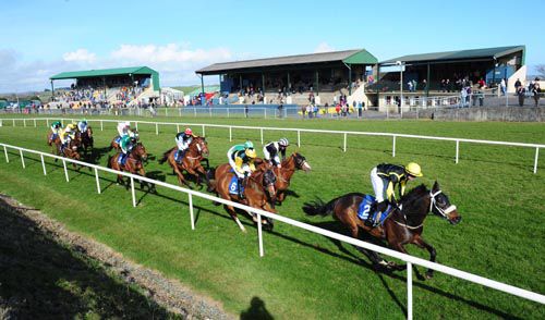 Qhilimar leads them past the stands at Tramore