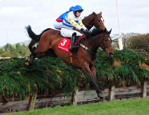 Zest For Life and Tim Donworth at Punchestown