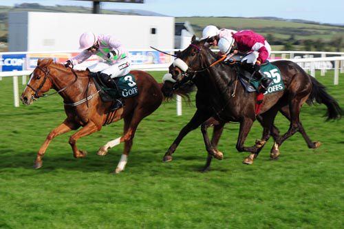 Moyle Park sees it out well from Wrath Of Titans and Classic Move