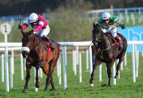 Very Wood has Some Hawk beaten at Punchestown