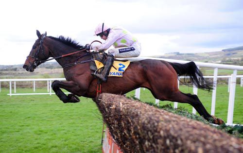 Arvika Ligeonniere was awesome under Ruby Walsh at Punchestown