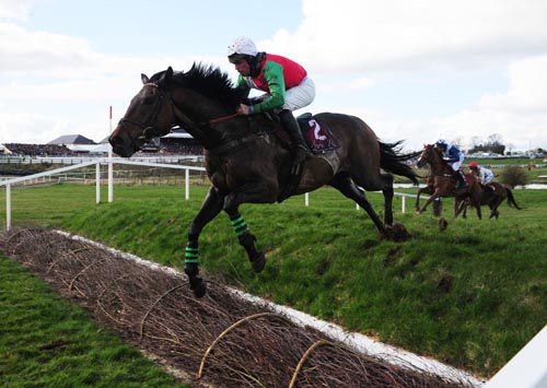 Big Shu and Barry Cash made it look easy around the banks course at Punchestown