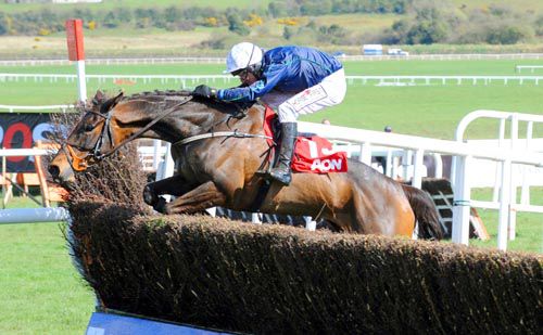 Madam Bovary and 'Puppy' Power get over the last at Punchestown