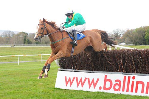 Coolnagorna Giggs and Eddie Power at Ballinrobe