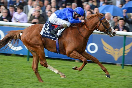 Dawn Approach (Kevin Manning) winning the Qipco 2000 Guineas at Newmarket 