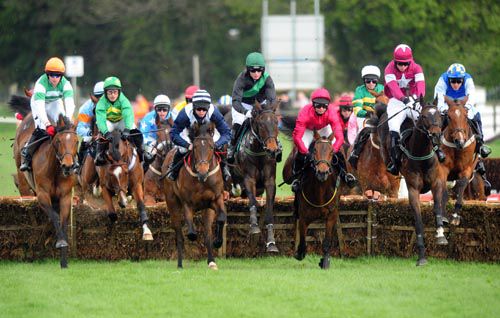 Runners stream over a hurdle in the early stages with eventual winner Boss's Star second from the left