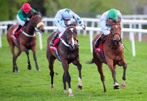 Musical Peace (right) beat Madam Mo at Gowran with Haraza (eventual 4th) in the background
