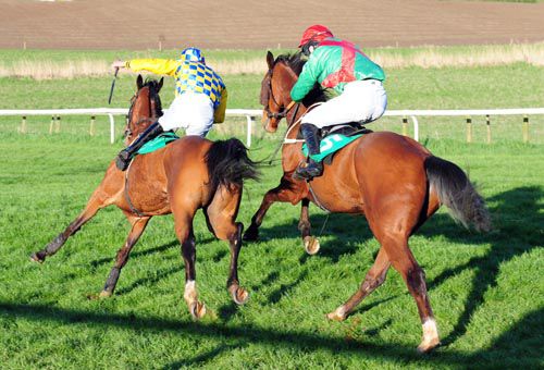 Raheenwood (in second) and Personal Shopper come close at the last