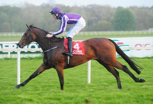 Say pictured winning her maiden at Cork