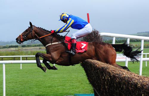 Tribes And Banner and Johnny Cullen at Punchestown