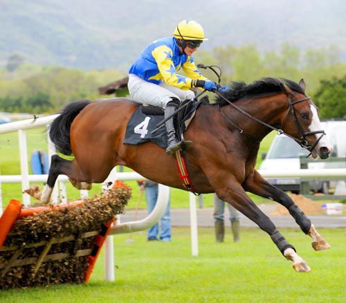 Age Of Glory & Paul Townend jump a hurdle on their way to victory in the opener at Killarney