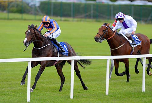 Battle Of Marengo & Joseph O'Brien on their way to victory from Loch Garman in second