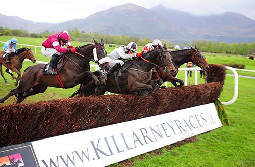 Mad Brian, middle, jumping the last at Killarney