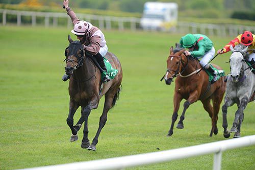 Valbucca and Shane Kelly are successful at Navan