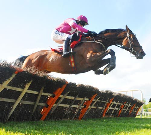 Make Your Mark clears a hurdle on his way to victory under Ruby Walsh