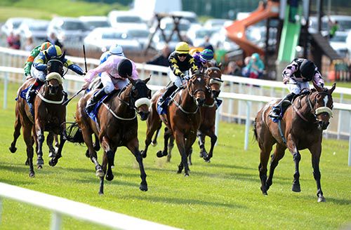 Saratoga Baby, right, nabs Brown Butterfly at the Curragh 