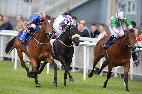 Sir John Hawkins (nearside) beat Intensified (middle) and Sudirman at the Curragh
