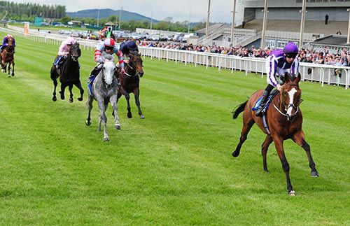 Leading Light beats Little White Cloud at the Curragh